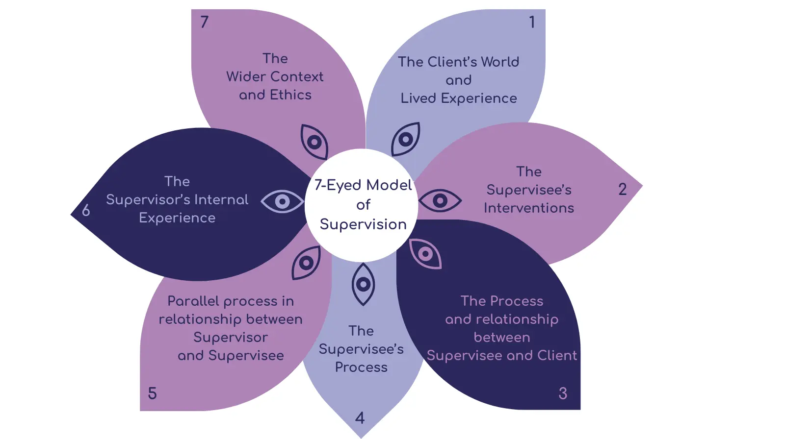d6ffe22f-3422-434c-8f25-a246b0f4bdb3 7-Eyed Model of supervision framework diagram